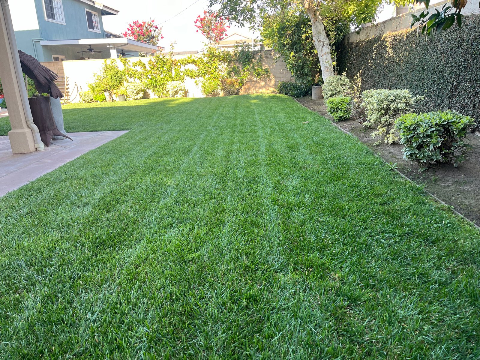 Martin lawn maintenance Landscaping service